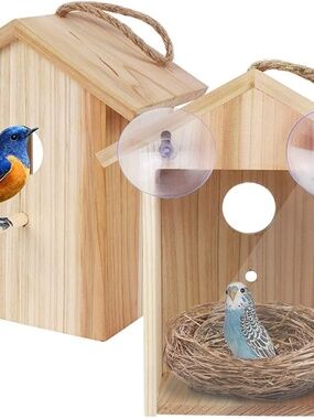Window Bird House New